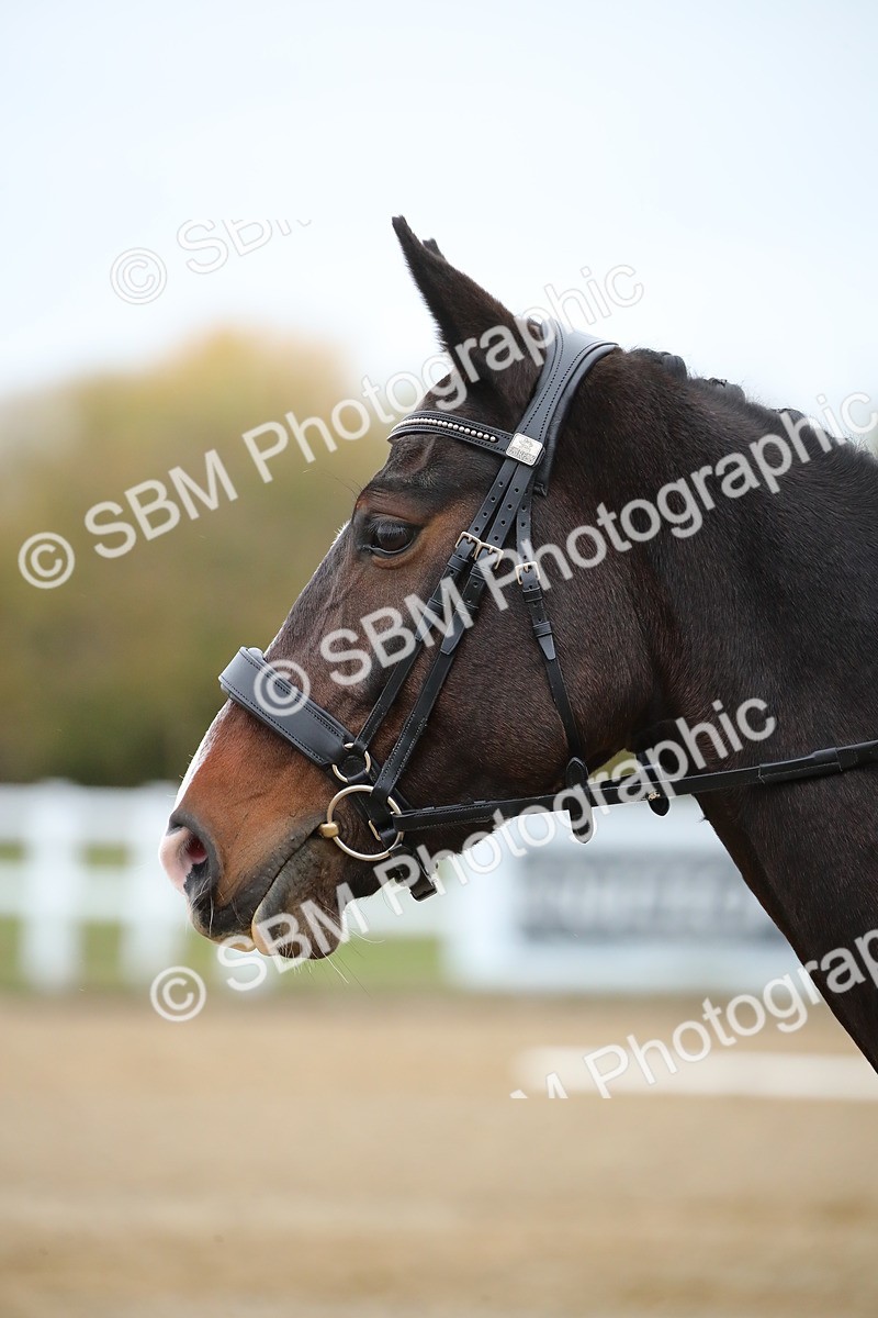 SBM_000417 - Intro 2