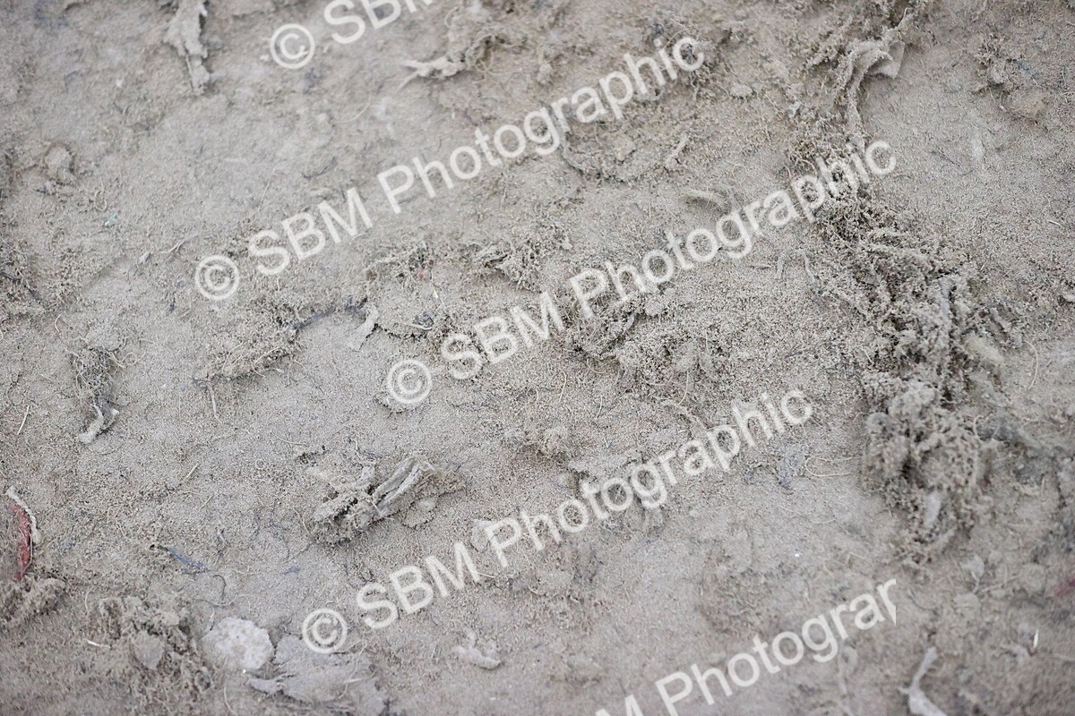 SBM_009752 - Class 2 - Pikeur Pony Winter Novice Championship Qualifier
