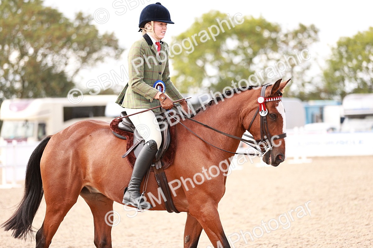 SBM_14496 - Class 410 - Grassroots Ridden - Horse