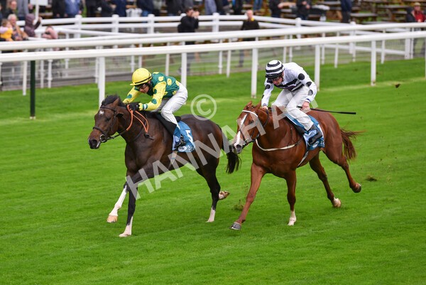 yr07102022r1-16 - Race 1 2.05pm Parsonage Hotel and Cloisters Spa Stakes