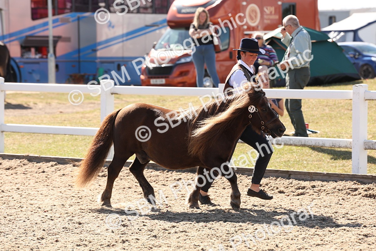 SBM_13916 - Class 205 - IH Show Pony - Show Hunter Pony