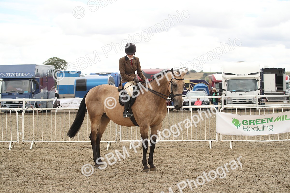 SBM_16667 - Class 507a - Working Veteran - 60cm (15-19)