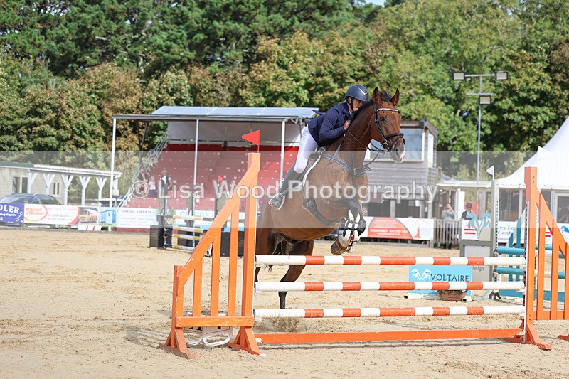 3E7A2132 - Class 4: Senior British Novice/90cm open