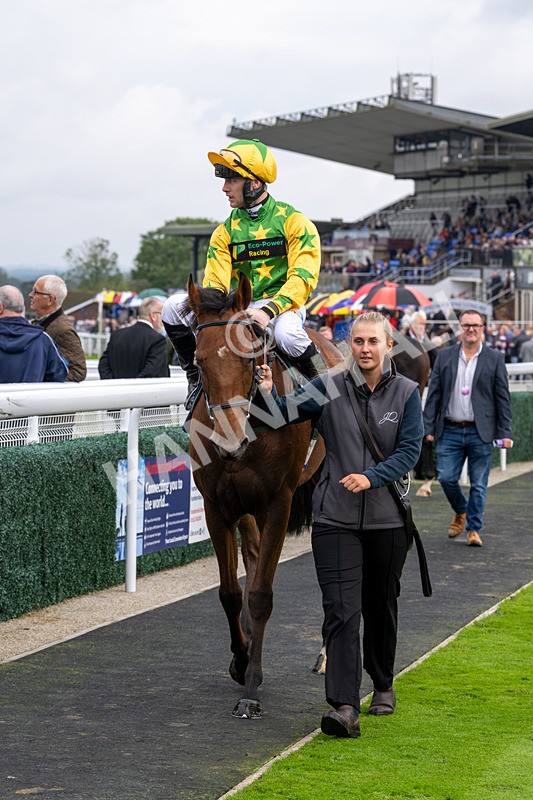 240924-Race 2-The Trickster-5965 - Race 2