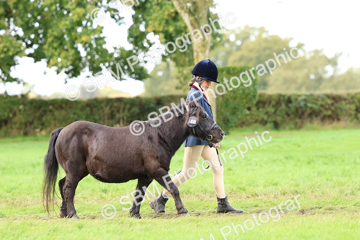 SBM_40701 - S25 -  Veteran In Hand