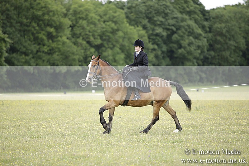 BVR160717-1943 - Side Saddle Classes 16/07/17