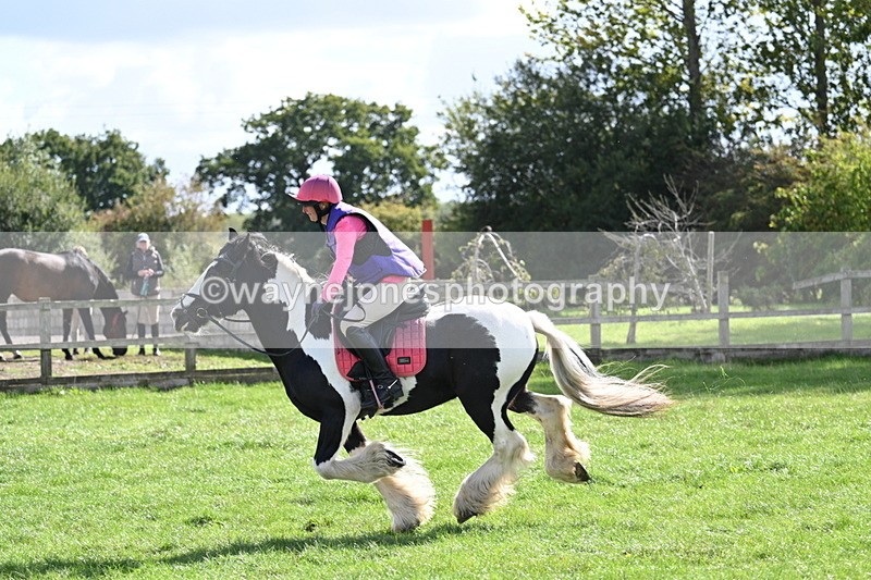 WJ7_0279 - Time 12:53 to 13:03