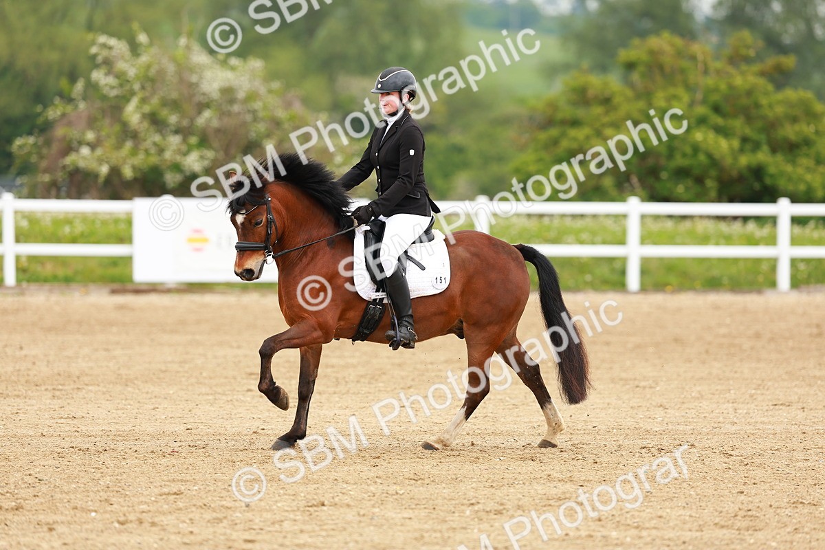 SBM_005273 - Class 16 - Novice 6