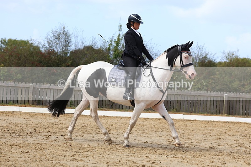 3E7A4063 - Class 9: Novice 6 Section B Championship