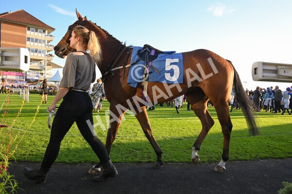yr08102021r7-3 - Race 7 5.25pm The IRE Incentive, It Pays To Buy Irish Handicap