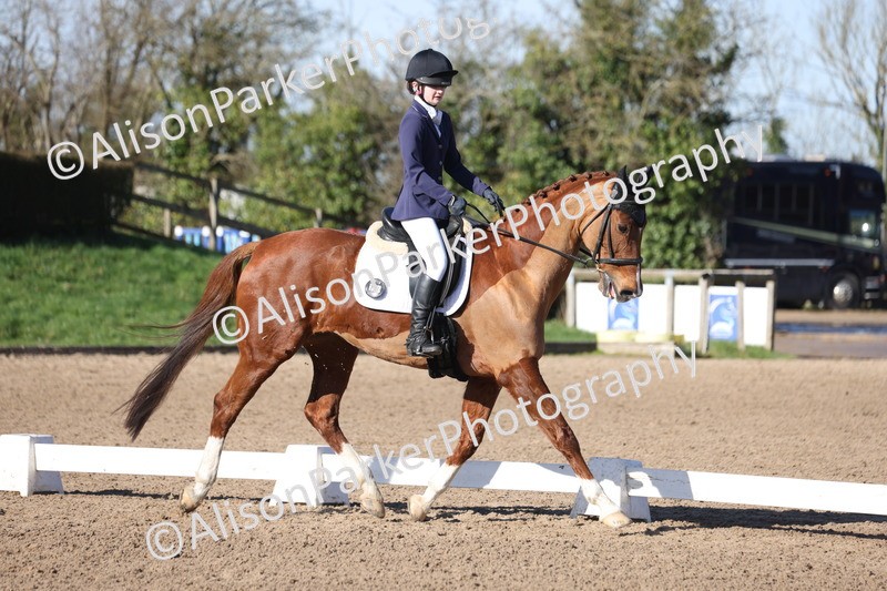 20260214-0344 - Class 4 - Novice 2