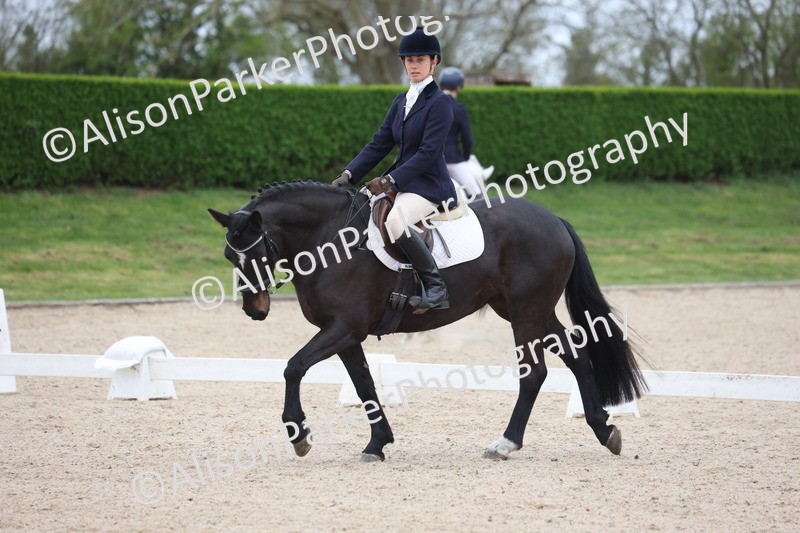 20260404-0111 - Class 2 - Intro 4