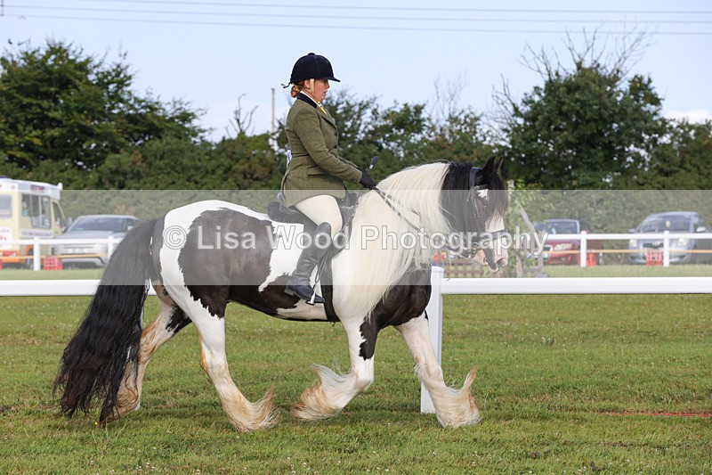 1X9A3194 - Class 28: Ridden Native/Trad Coloured Pony