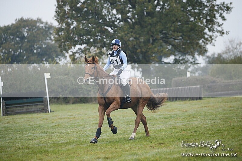 WWHT 181020 WWHT 181020 175 - WWEC Novice Restricted (0.80m) 18/10/20