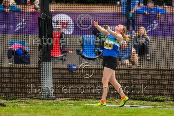 Sen25SAT-924810 - Field Female Set Two