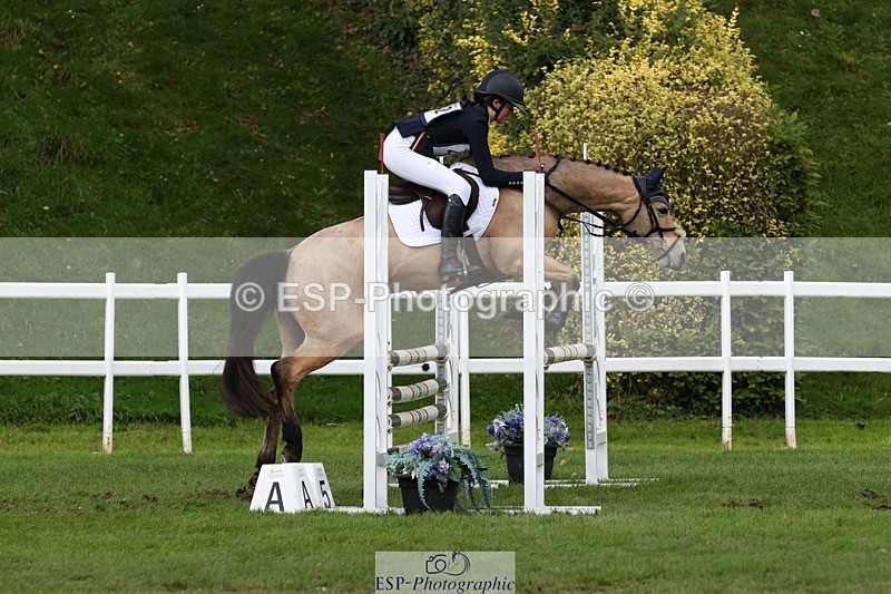231022-141013-28085 - 442-BICTON.INCREDIBLY.DUN-millie.jo.challinor-TrotUp+SJ