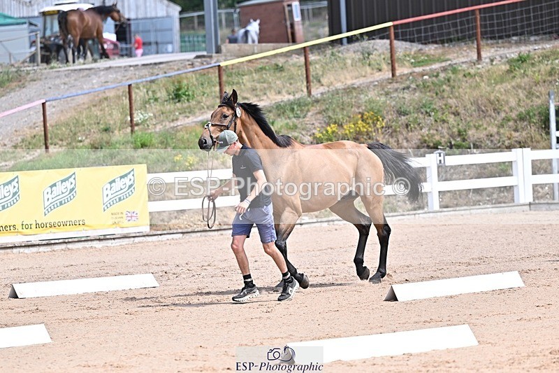 250716-124236-00133 - Trot Up 12.30 to 1.30