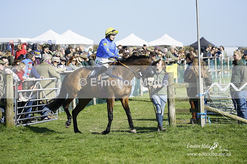 PtP 190322 454 - Wilton Hunt PtP Milborne St Andrew 19/03/22