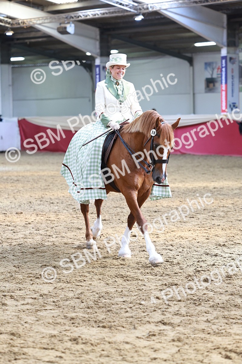 SBM_13702 - Class 106 - Ridden Costume -Astride Adult (15-19)