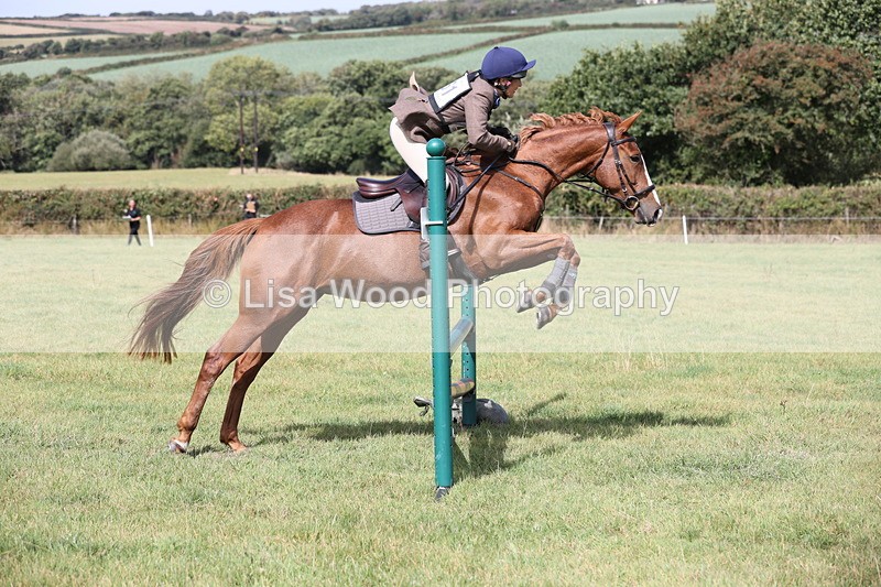 JPP_8799 - Class 2: Trekenning: 80cm Showjumping