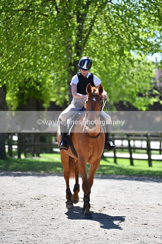 WJ5_7548 - 80cm time 12:47 to 13:39