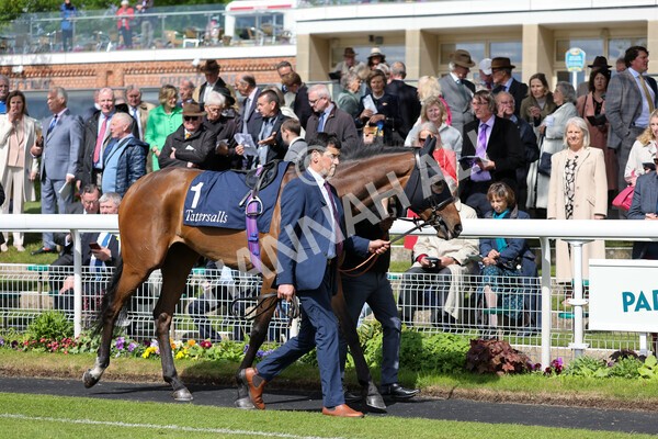 yr11052022r4-5 - Race 4 3.35pm Tattersalls Musidora Stakes