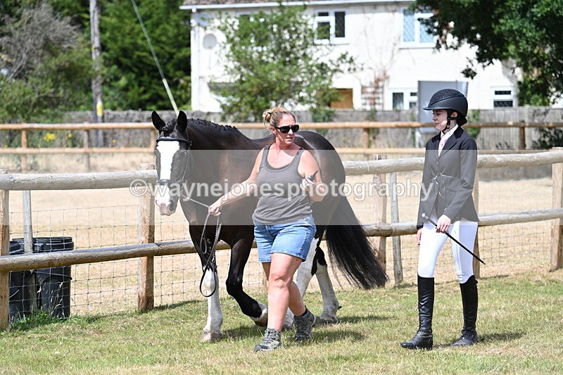 WJ7_1778 - Class 4a Prettiest Mare 14.2hh and over hand