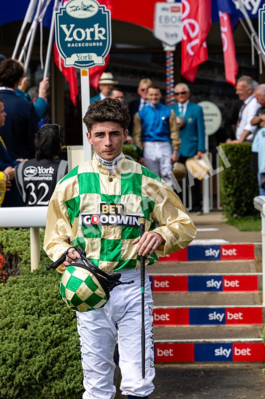 220826-Race 4-Daiquiri Bay-0679 - Race 4 15.35pm Sky Bet Ebor Handicap