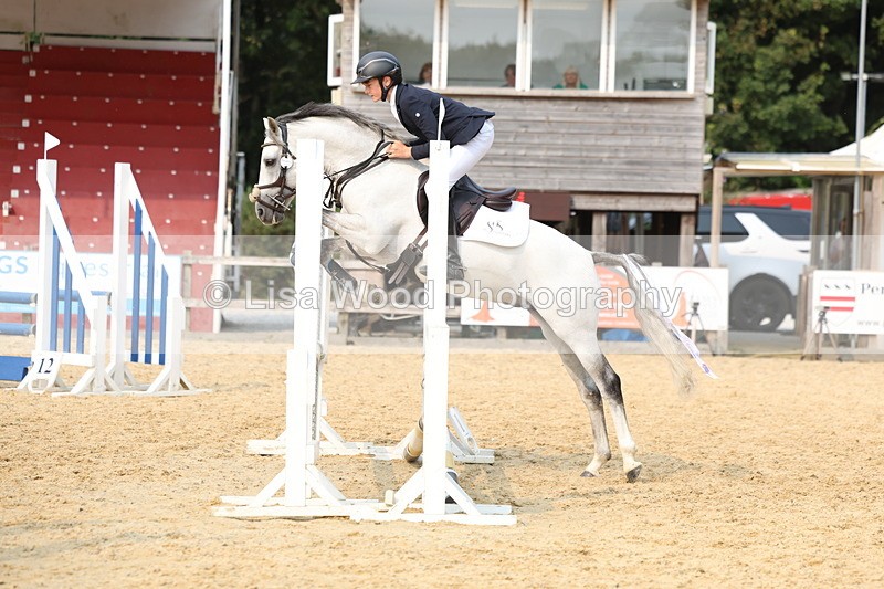3E7A3050 - Class 13: Pony British Novice/80cm open