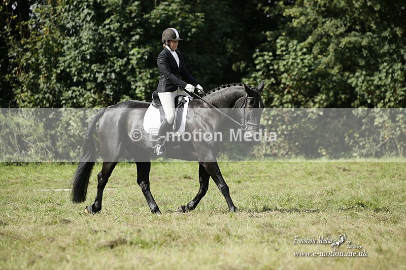 BVRC 120921 379 - Bourne Valley Riding Club UA Dressage & Show Jumping 12/09/21