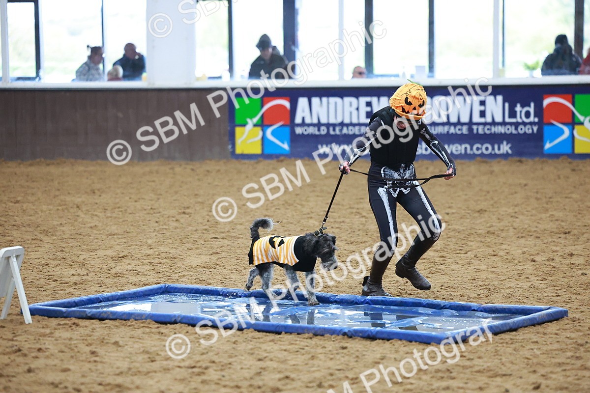 SBM_001629 - Class 3 - Horse & Hound (60cm)