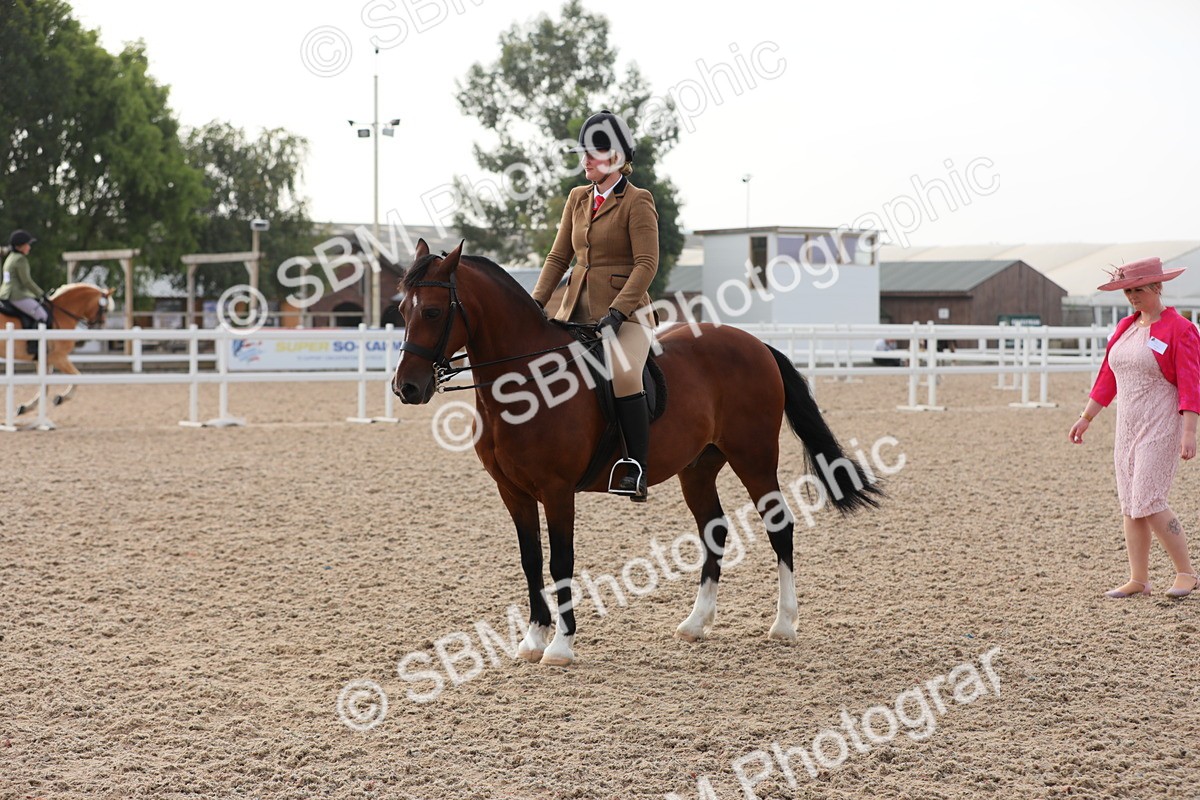 SBM_10075 - Class 302 Ridden M&M -Large Breeds