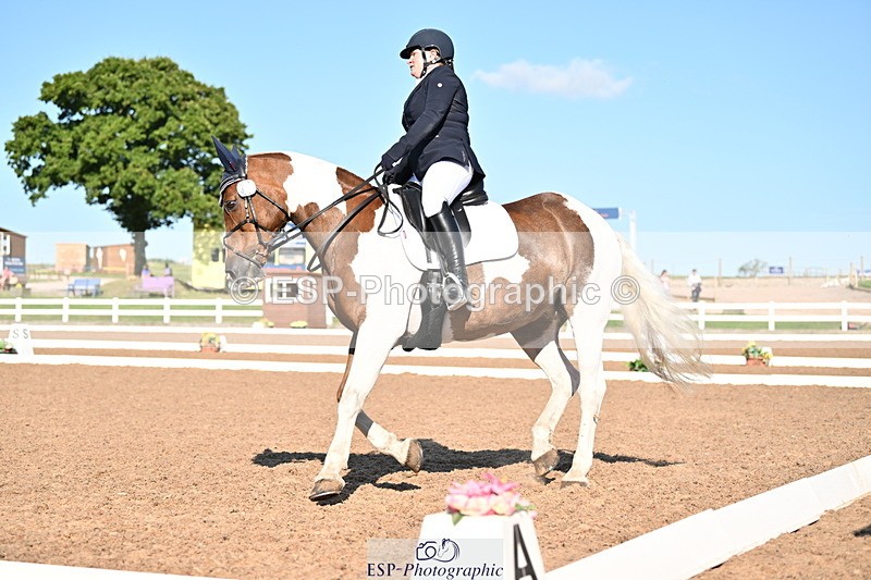 240816A-165112-06292 - 307-Rachel.Cook-Tiger.lily.vi