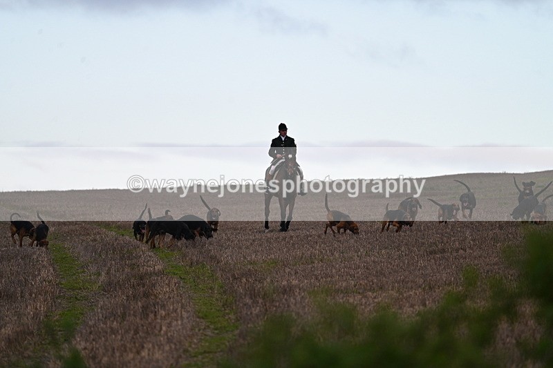 WJ7_9809 - Camera 1 & Last fence