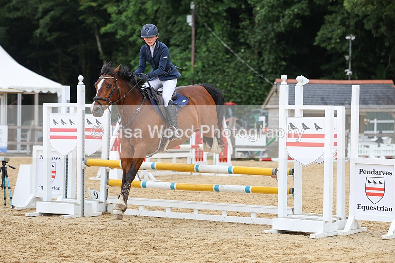 3E7A6848 - Class 13: Pony British Noise/80cm open