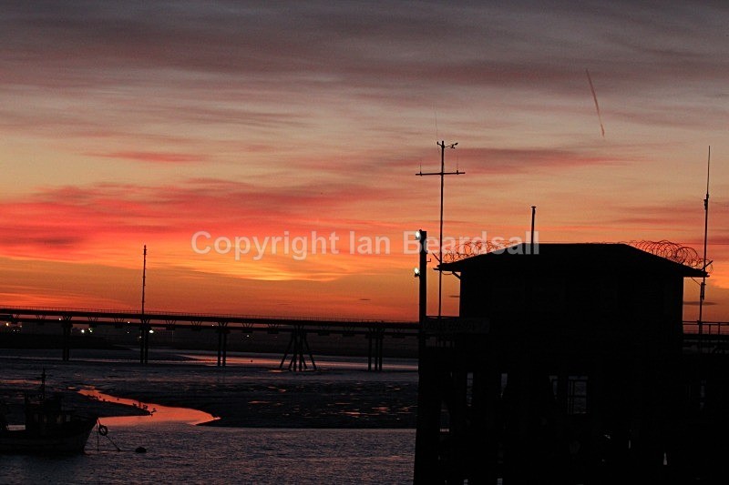 IMG_4705 - Essex