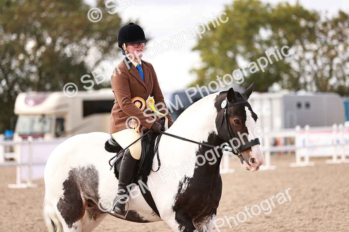 SBM_14497 - Class 410 - Grassroots Ridden - Horse
