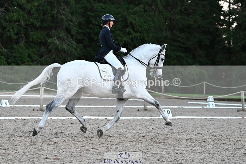 231110-163105-02667 - Cls 14 FEI Grand Prix