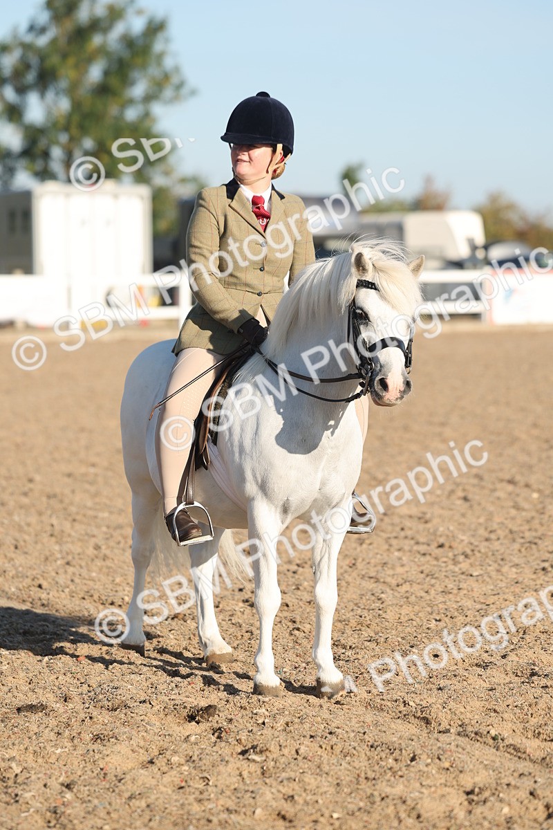 SBM_10914 - Class 301 - Ridden M&M Small Breeds