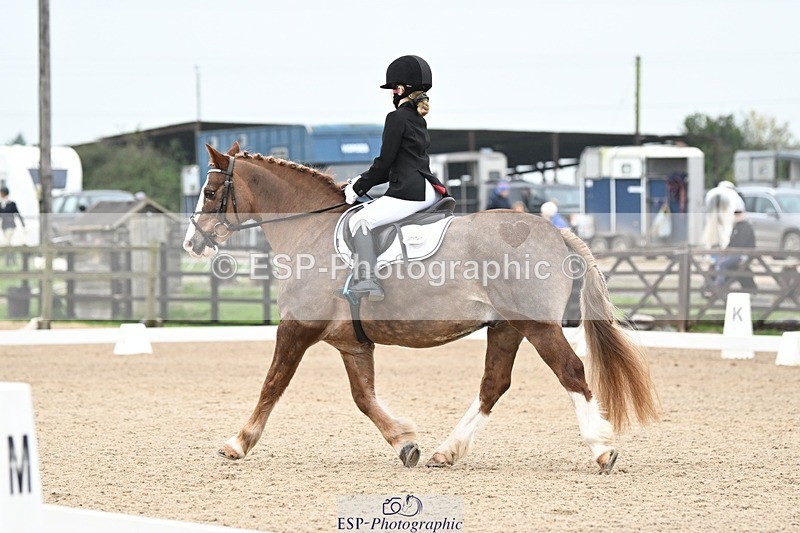 241103-113757-00556 - Intro 3 - 10.50 to 11.44