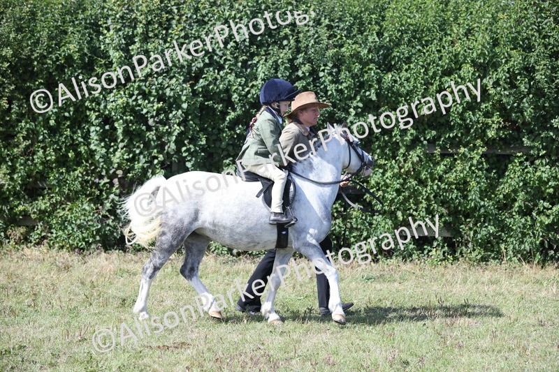 20250831-2644 - Class 17 - Lead Rein Pony