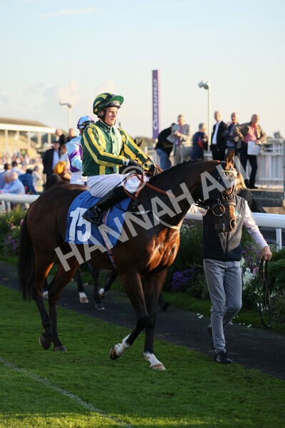 yr08102021r7-19 - Race 7 5.25pm The IRE Incentive, It Pays To Buy Irish Handicap