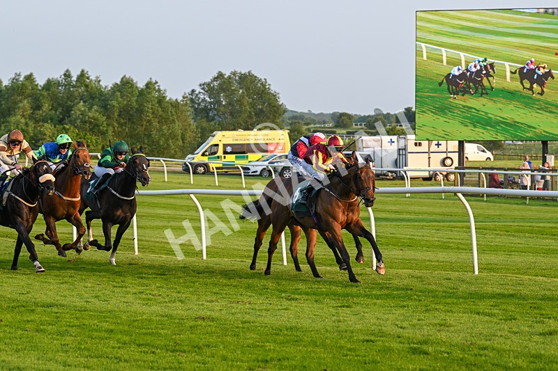 310524-Race 4-Albegone-8769 - Race 4