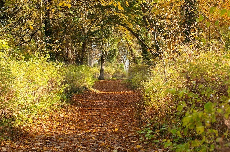 DSC_2213 - Rathmullan & Lough Swilly