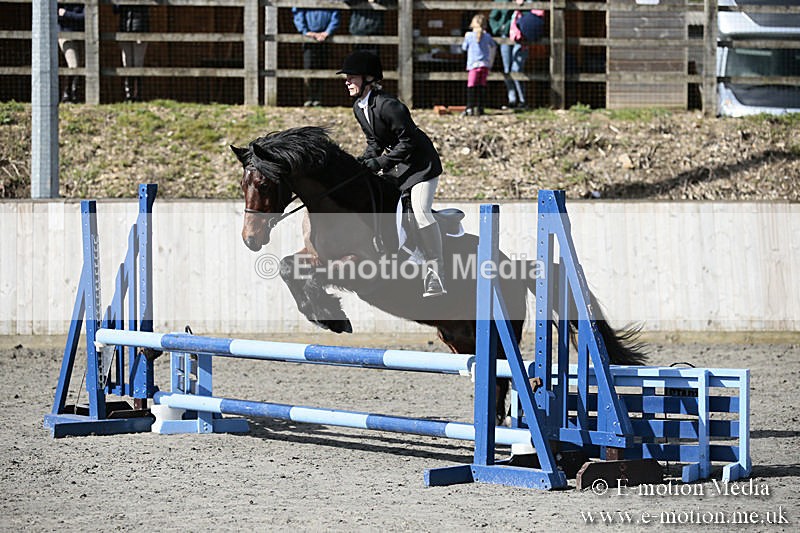 BVRC SJ 170319 247 - Bourne Valley Riding Club Showjumping 17/03/19