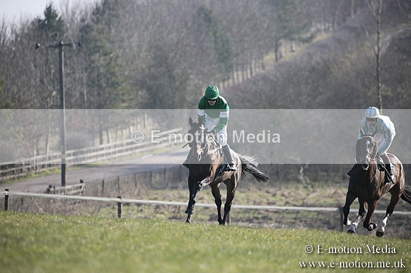 PtP 240218 236 - Vine & Craven Hunt Point-to-Point Barbury racecourse 24/02/18