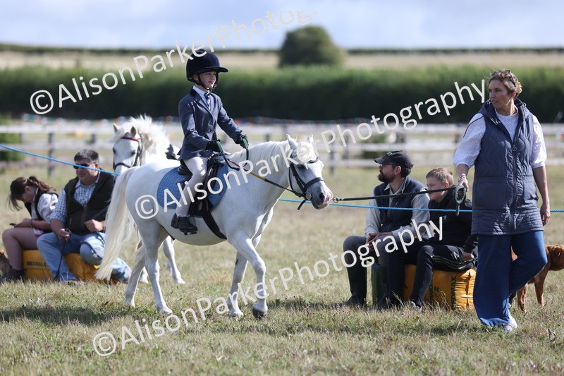 20250831-1002 - Class 15 - Ridden Veteran