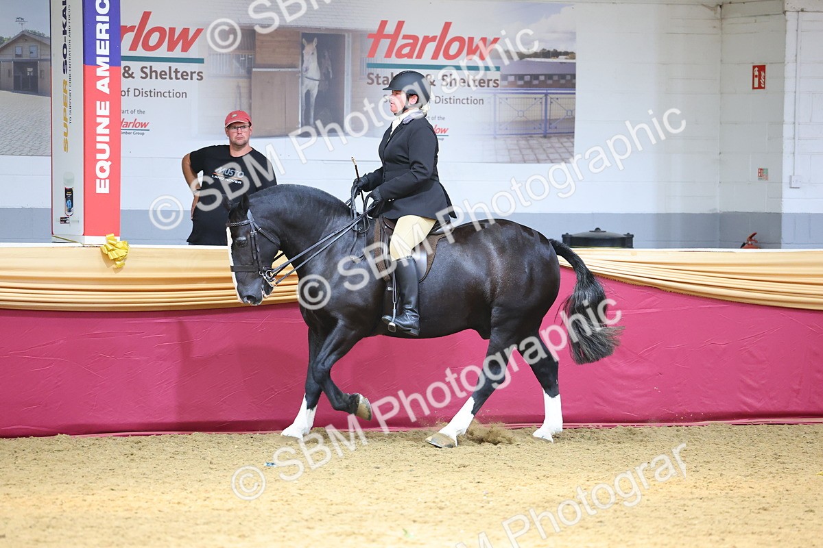 SBM_24165 - Class 905 - Supreme Final - Ridden Veteran