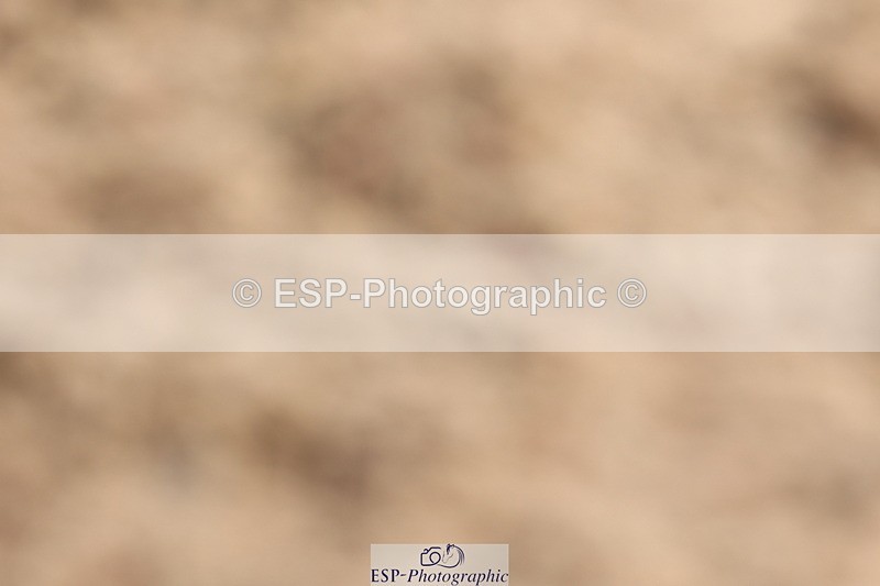 240622A-094021-07115 - Cls 24 BD Prelim 15