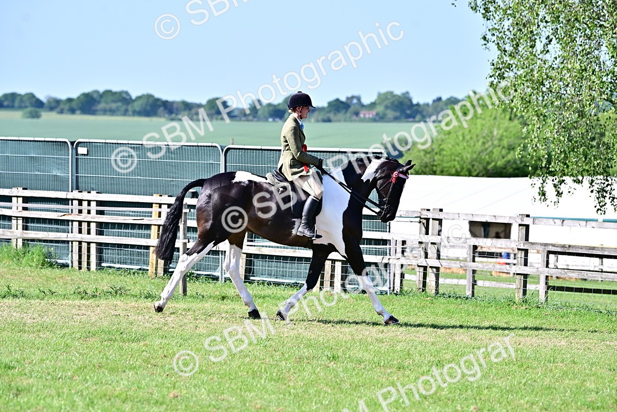 SBM_19562 - Class 101-102 - BSPS LIHS Performance Coloured Horse/Pony